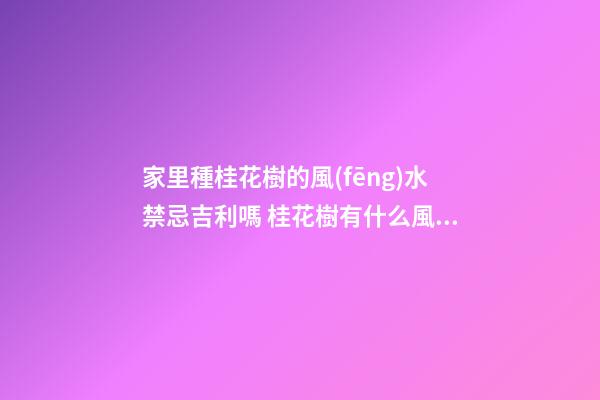 家里種桂花樹的風(fēng)水禁忌吉利嗎 桂花樹有什么風(fēng)水講究